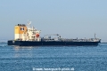 Kodkod OS-190626-13.jpg