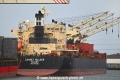 Gannet Bulker OS-170122-05.jpg