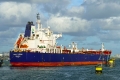 Hafnia Caterina (MB-050926-1).jpg
