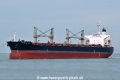 Freedom Line HK-230922.jpg