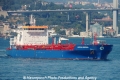 Histria Gemma (LW-100613-01).jpg