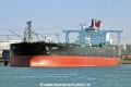 Habrut (MM-290423-2).jpg