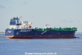 Navig8 Guide (KK-310320-2).jpg