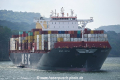 MSC Avni OS-110318-04.jpg