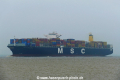 MSC Benedetta (KK-241119-1).jpg