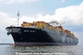 MSC Bari 120611-32.jpg