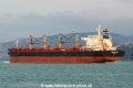 Genco Languedoc (OK-280114-3).jpg