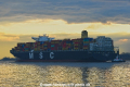 MSC Benedetta 081220-17.jpg