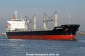 Gardenia K SH-170216-03.jpg