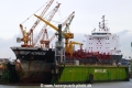 Hornisse (MM-180912-1).jpg