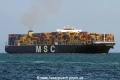 MSC Bettina (MS-181013-10).jpg