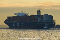 MSC Benedetta 081220-19.jpg