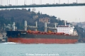 Genco Languedoc (OK-280114-1).jpg