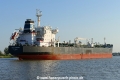 Nicos Tomasos (OK-230815-2).jpg