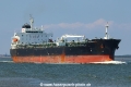 Navigare Pars TL-240621-3.jpg