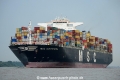 MSC Alexandra 070815-03.jpg