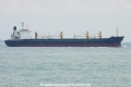 Gemmy TJ-021109-1.jpg