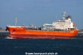 Horin Trader TL-061022-1.jpg