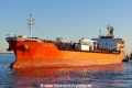 Ivory Ray (OK-290619-0).jpg