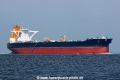 Olympic Leopard (MS-020825-05).jpg
