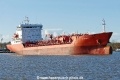 NQ Zinnia (OK-171125-0).jpg