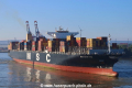 MSC Cristina JP-210919-05.jpg