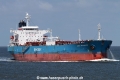 Nord Optimiser SH-120614-01.jpg