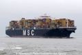 MSC Eva JG-050711-01.jpg