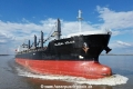 Global Aglaia KH-050423-1.jpg