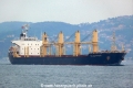 Gladiator (OK-060711-0).jpg