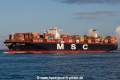 MSC Emma SH-030219-01.jpg