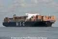 MSC Daniela (MS-S-809-1).jpg