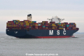 MSC Emma JG-040219-04.jpg