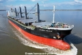 Global Aglaia KH-050423-5.jpg