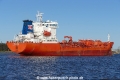 NQ Zinnia (OK-171125-3).jpg