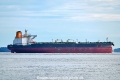 Olympic Lyra OS-101022-17.jpg