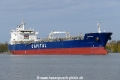 Aristidis (OK-050522-1).jpg
