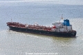 Ardmore Seahawk 090823-6.jpg