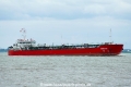 Arrow Star 1 (KK-250519-1).jpg