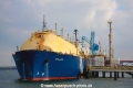 Wilgas (MM-020914-1).jpg