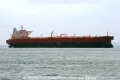 Eagle Venice (MS-121007-03).jpg