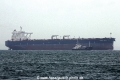 Front Earl (MS-080817-12).jpg