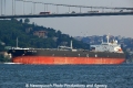 Asahi Princess (OK-270913-1).jpg