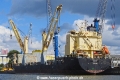Angus (LW-290820-01).jpg