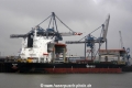 Swan Arrow (OS-080107-04).jpg