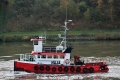 Naja JB-041114.jpg