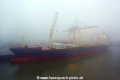 Antwerp Trader 250116-12.jpg