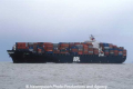 APL India (MS-K2003).jpg