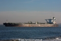 DS Crown (MM-120114-).jpg