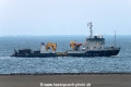 Fortuna Crane (MM-310824-1).jpg